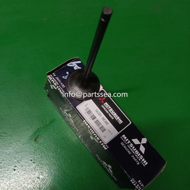 Mitsubishi intake exhaust valve