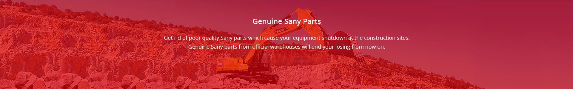 Genuine Sany Parts